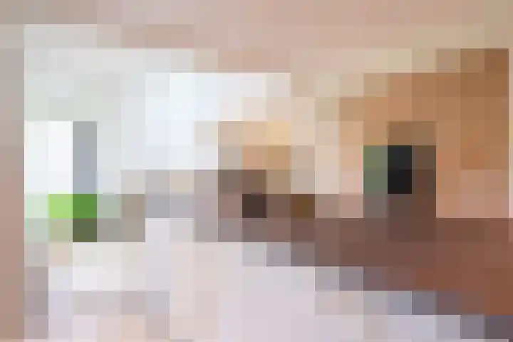 Zorgvrij 3 Haren Gn thumbnail 5