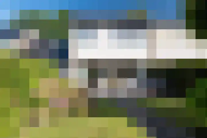 Zorgvrij 3 Haren Gn thumbnail 51