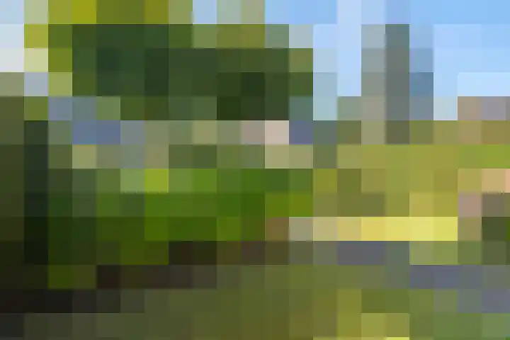 Zorgvrij 3 Haren Gn thumbnail 54