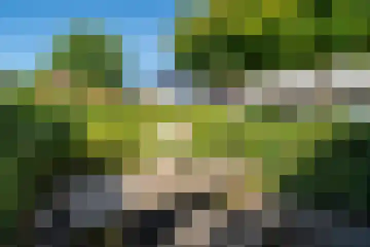 Zorgvrij 3 Haren Gn thumbnail 55