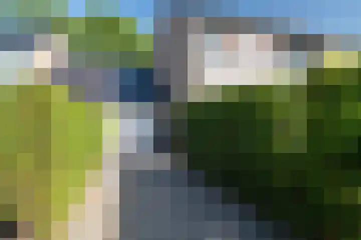 Zorgvrij 3 Haren Gn thumbnail 56