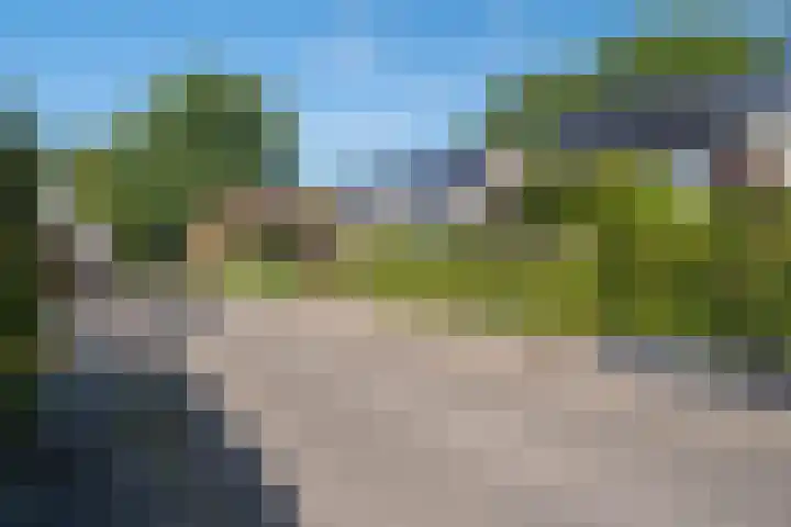 Zorgvrij 3 Haren Gn thumbnail 58