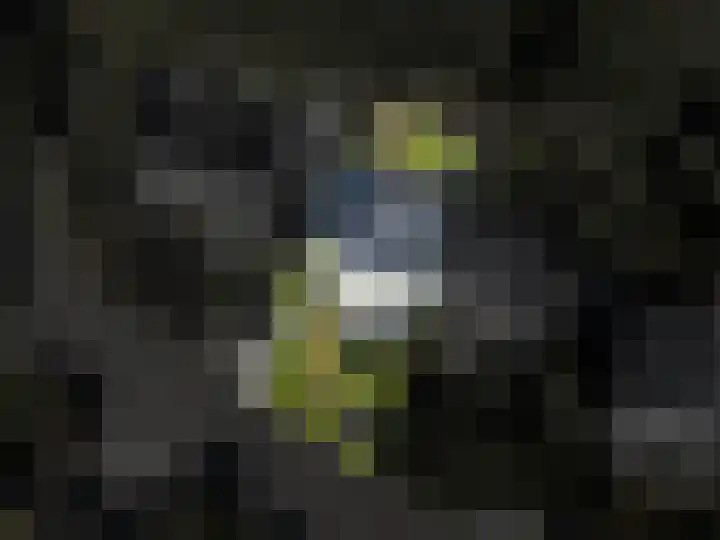 Zorgvrij 3 Haren Gn thumbnail 60
