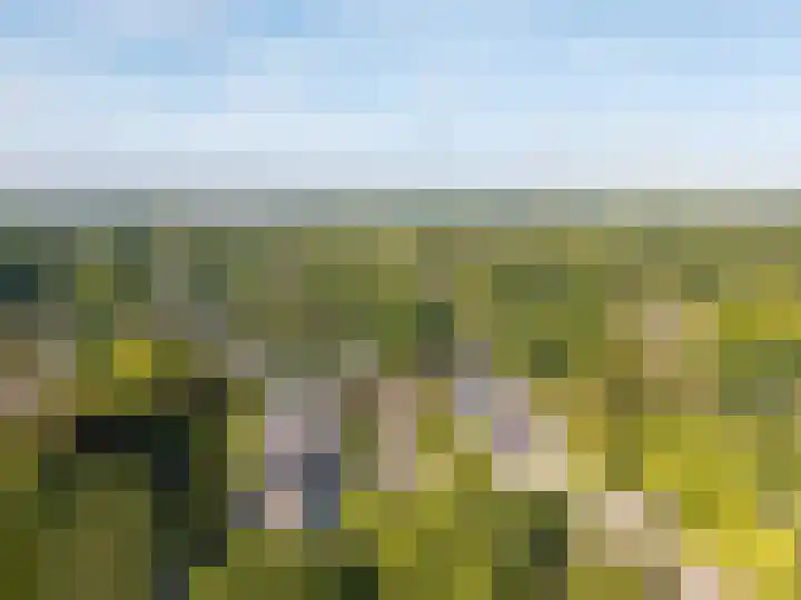 Zorgvrij 3 Haren Gn thumbnail 62