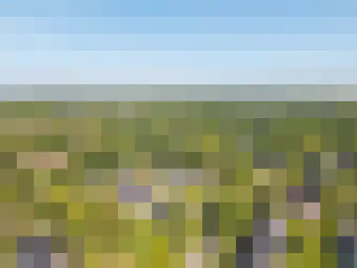Zorgvrij 3 Haren Gn thumbnail 63