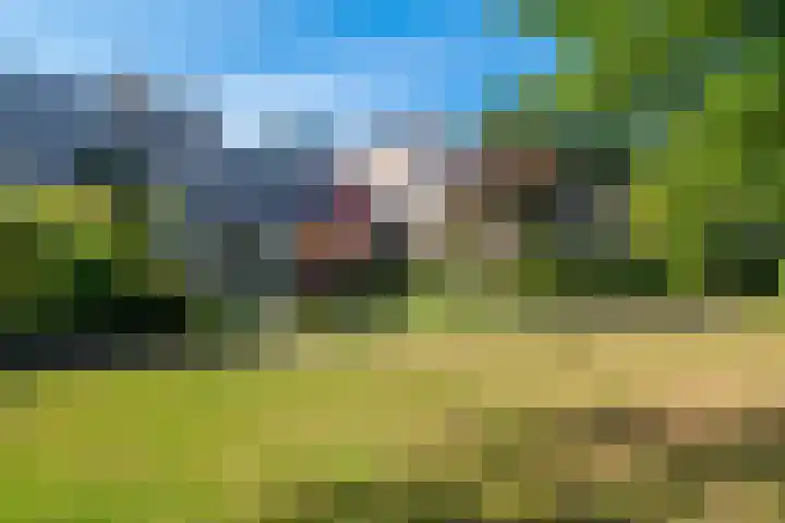 Zorgvrij 3 Haren Gn thumbnail 8