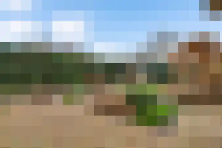 Zouavenstraat 1 a America thumbnail 4