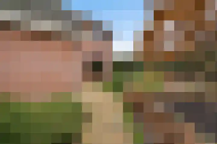 Zouavenstraat 1 a America thumbnail 46