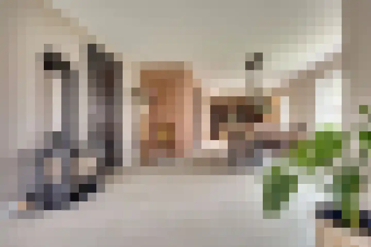 Zouavenstraat 17 Geesteren thumbnail 12