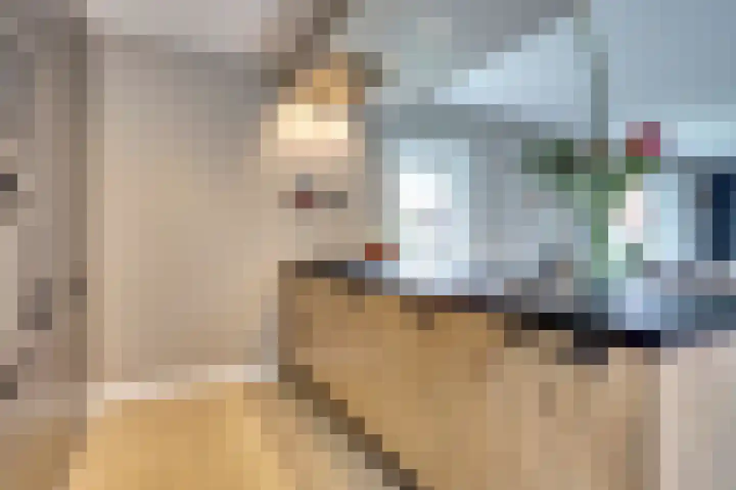 Zouavenstraat 17 Geesteren thumbnail 13