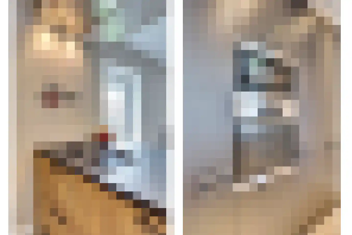 Zouavenstraat 17 Geesteren thumbnail 14
