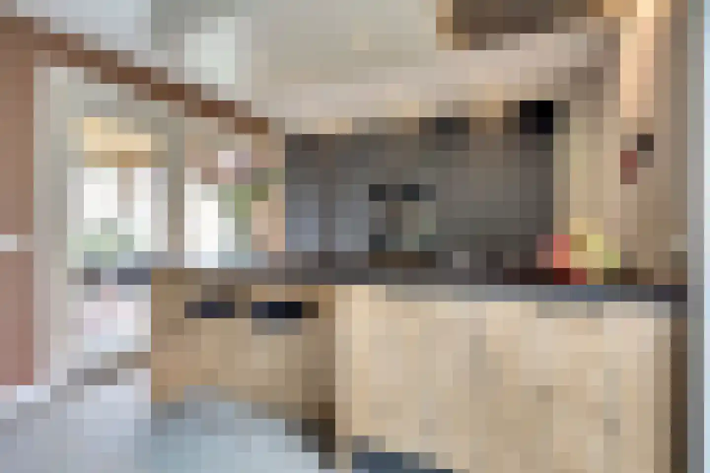 Zouavenstraat 17 Geesteren thumbnail 15