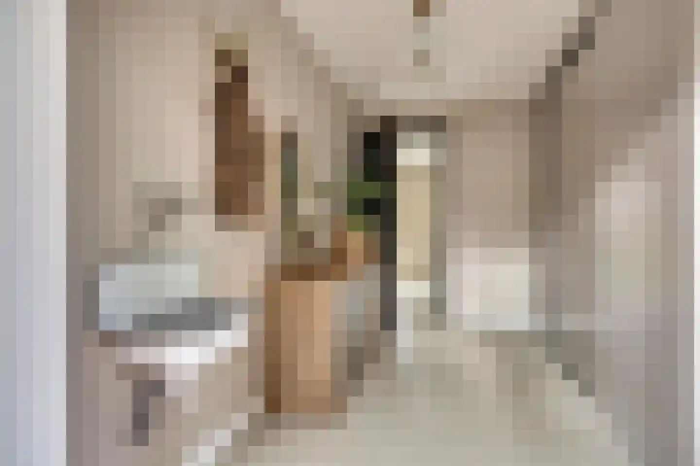 Zouavenstraat 17 Geesteren thumbnail 17