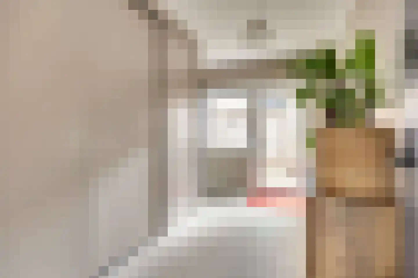 Zouavenstraat 17 Geesteren thumbnail 18