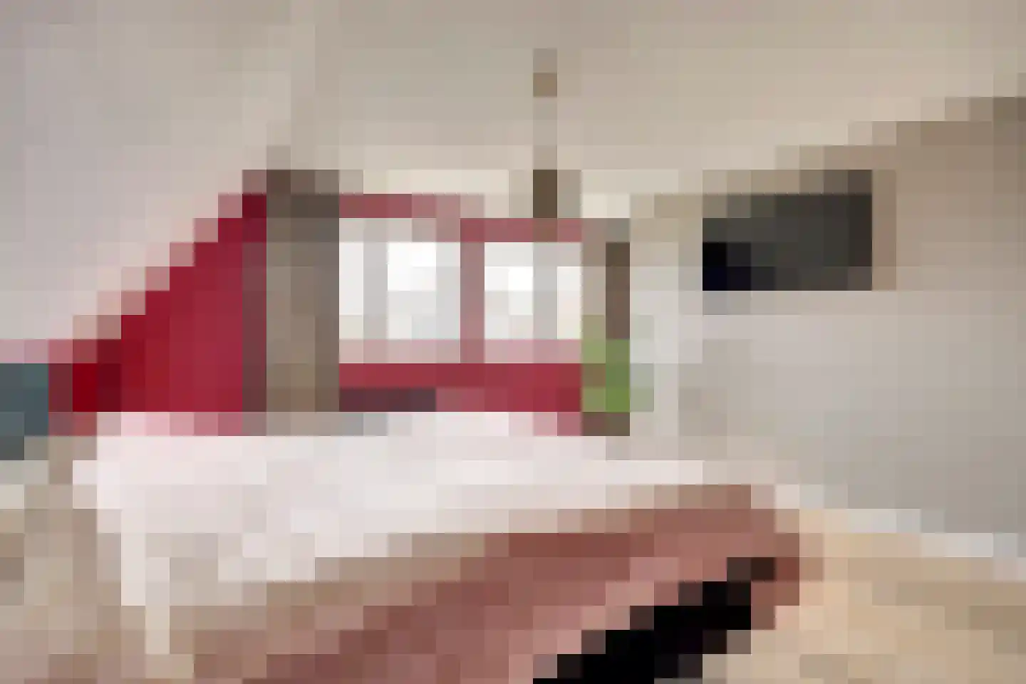 Zouavenstraat 17 Geesteren thumbnail 21