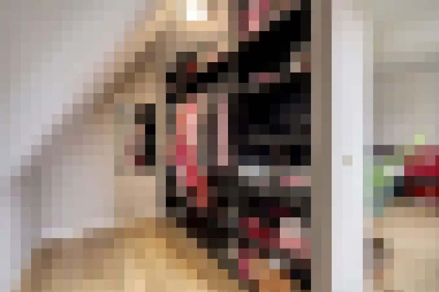 Zouavenstraat 17 Geesteren thumbnail 22