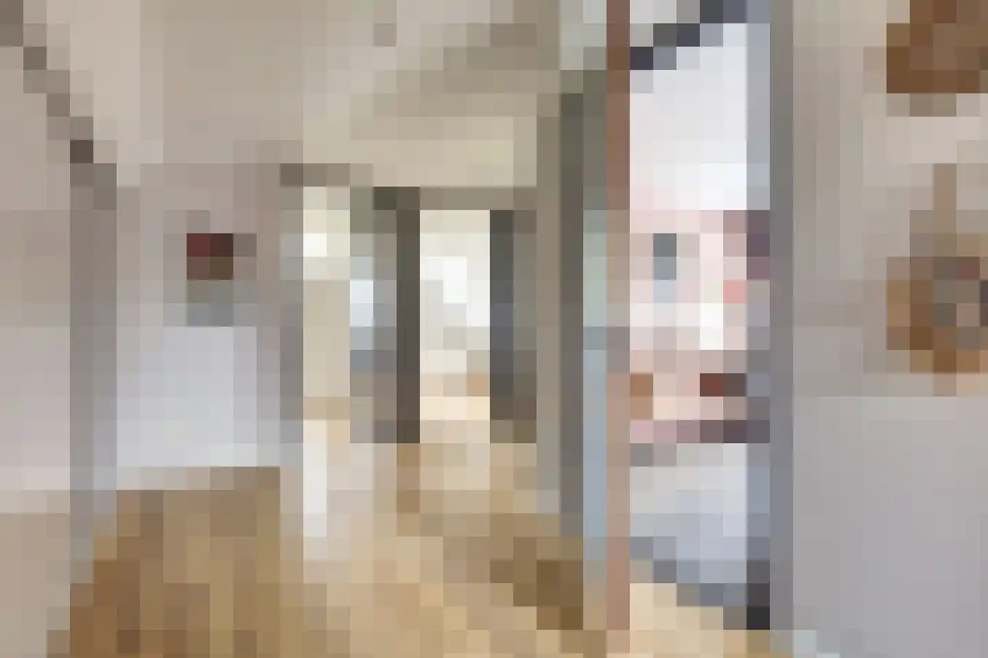 Zouavenstraat 17 Geesteren thumbnail 23