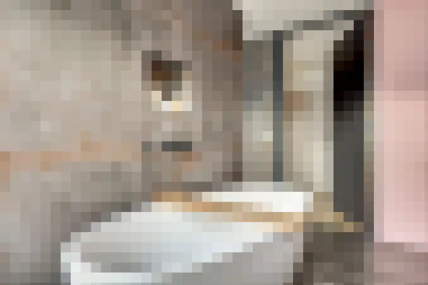 Zouavenstraat 17 Geesteren thumbnail 24