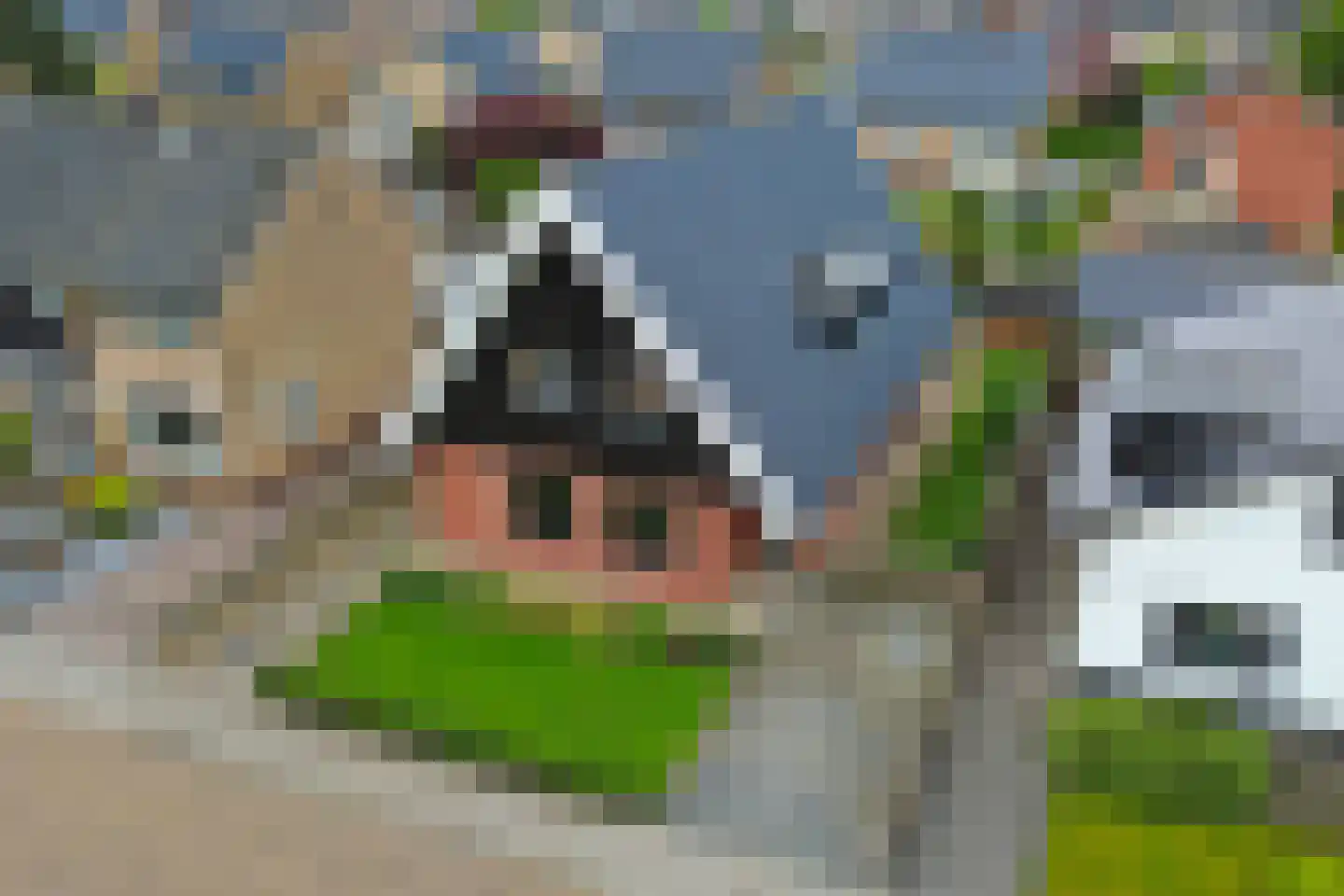 Zouavenstraat 17 Geesteren thumbnail 41