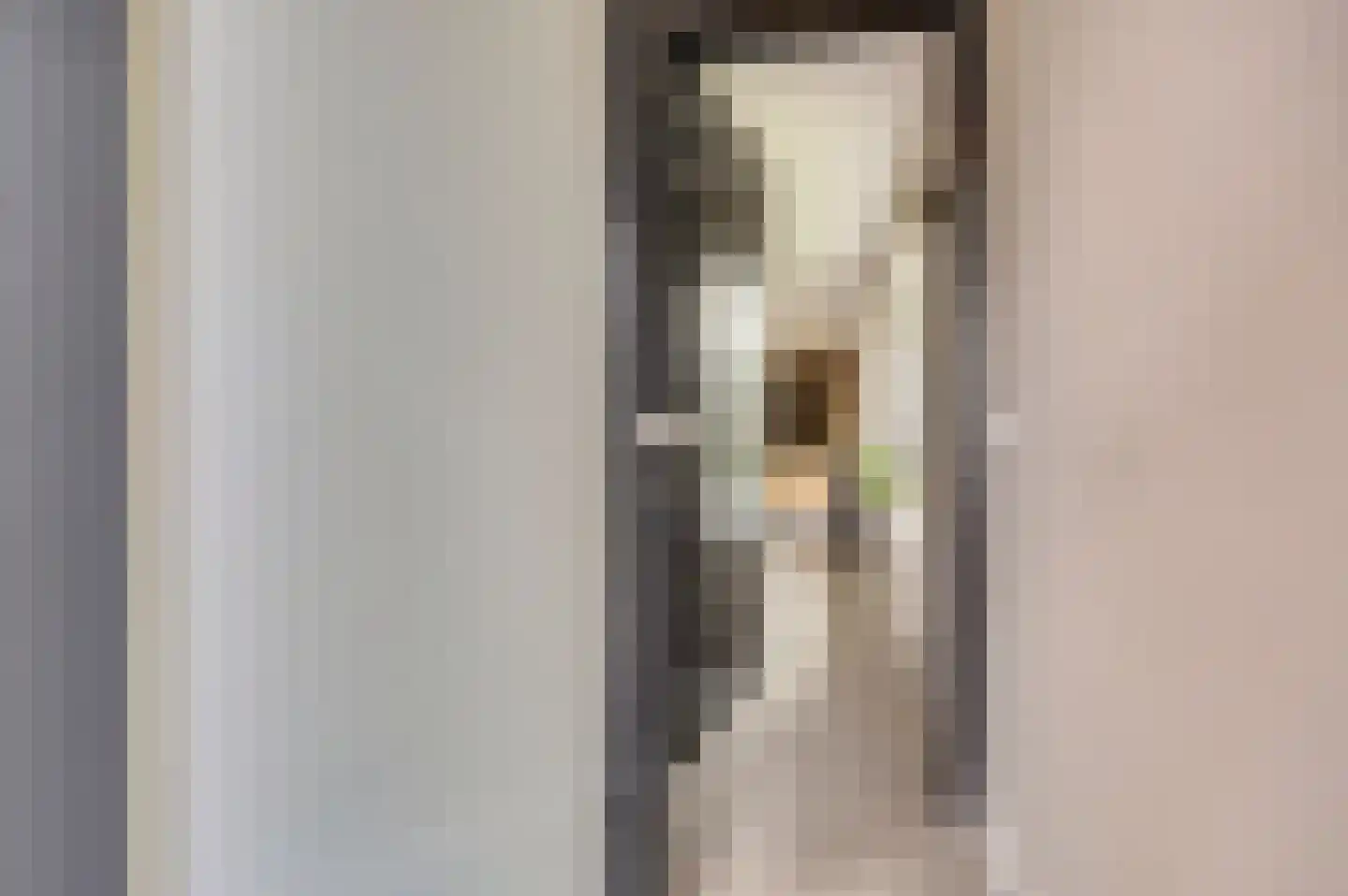 Zouavenstraat 17 Geesteren thumbnail 7