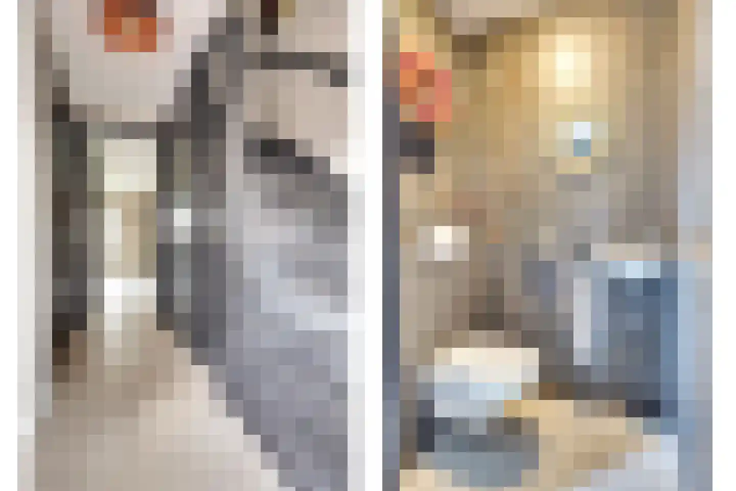 Zouavenstraat 17 Geesteren thumbnail 8