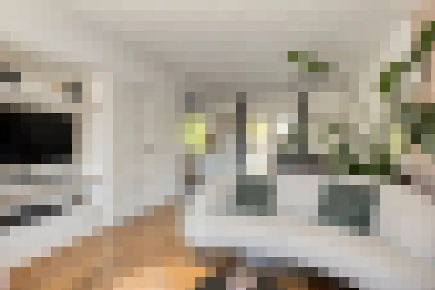 Zoudenbalchstraat 13 Ens thumbnail 10