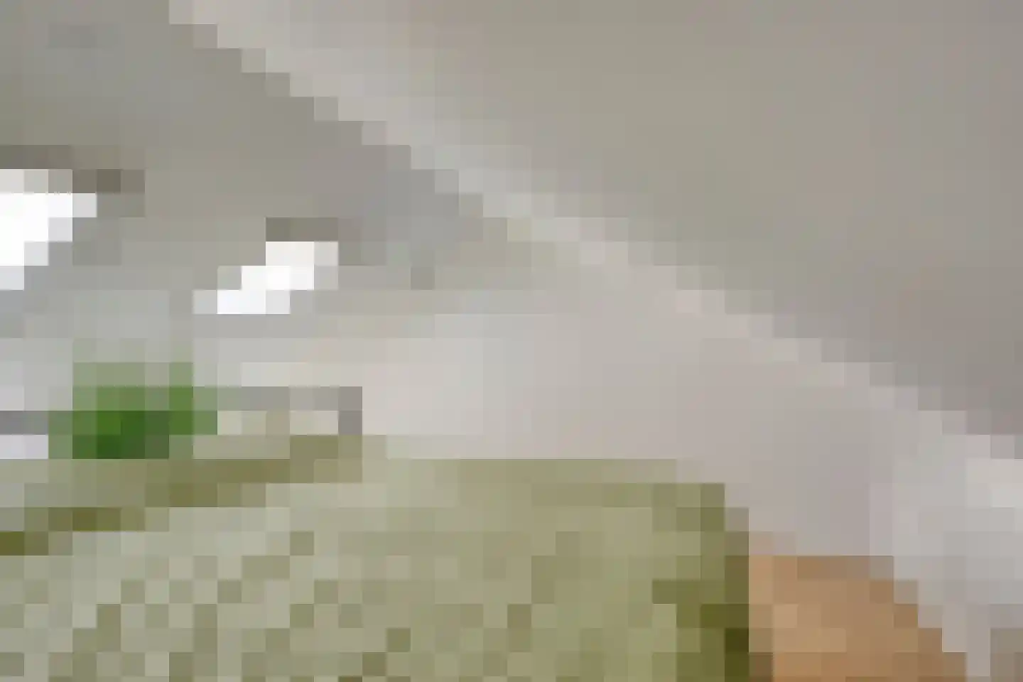 Zoudenbalchstraat 13 Ens thumbnail 25