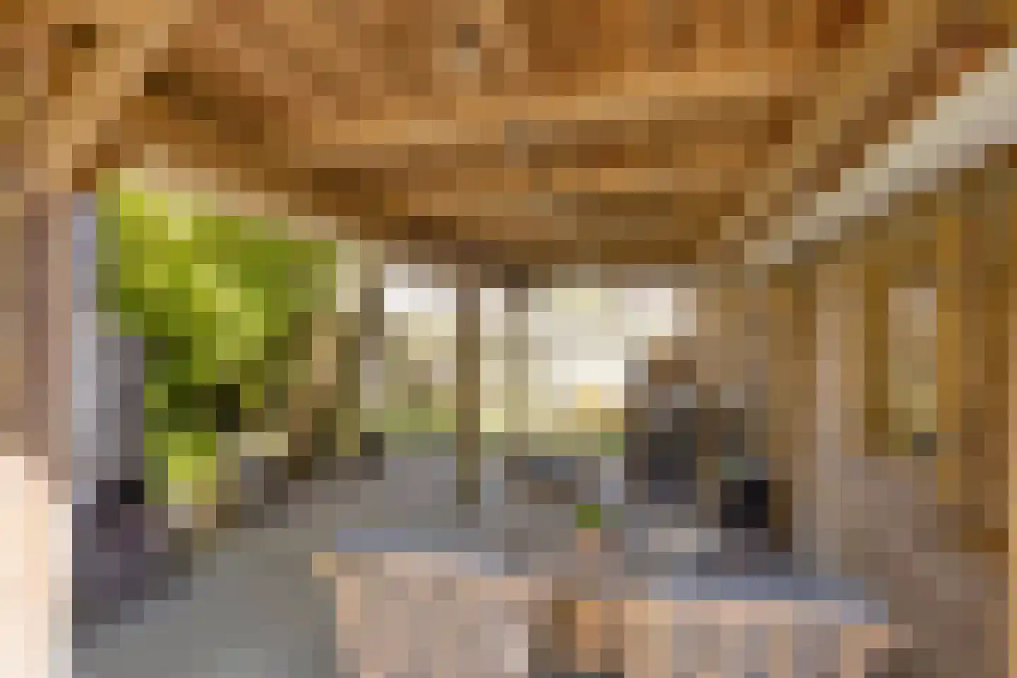 Zoudenbalchstraat 13 Ens thumbnail 33