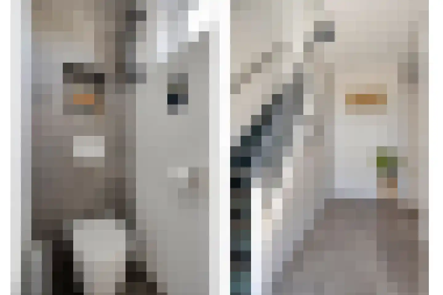 Zoudenbalchstraat 13 Ens thumbnail 6