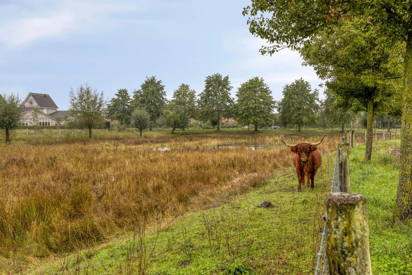 Zoudtlandlaan 14 Roosendaal thumbnail 45