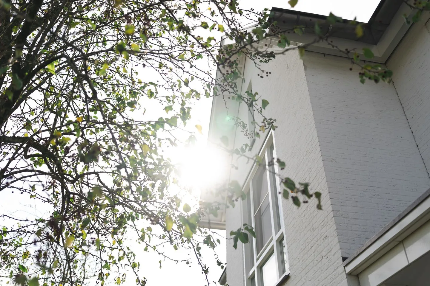Zoudtlandlaan 34 Roosendaal thumbnail 86