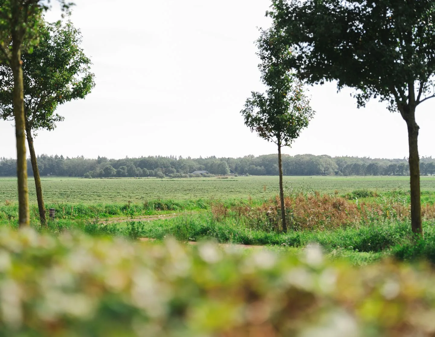 Zoudtlandlaan 34 Roosendaal thumbnail 98