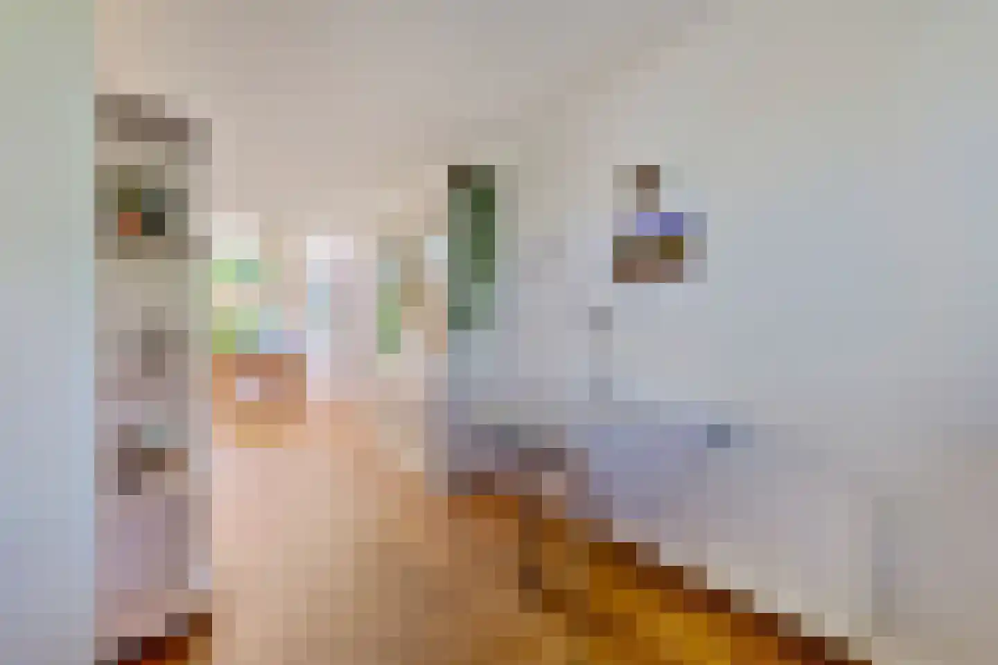 Zoutberg 21 Amsterdam thumbnail 12