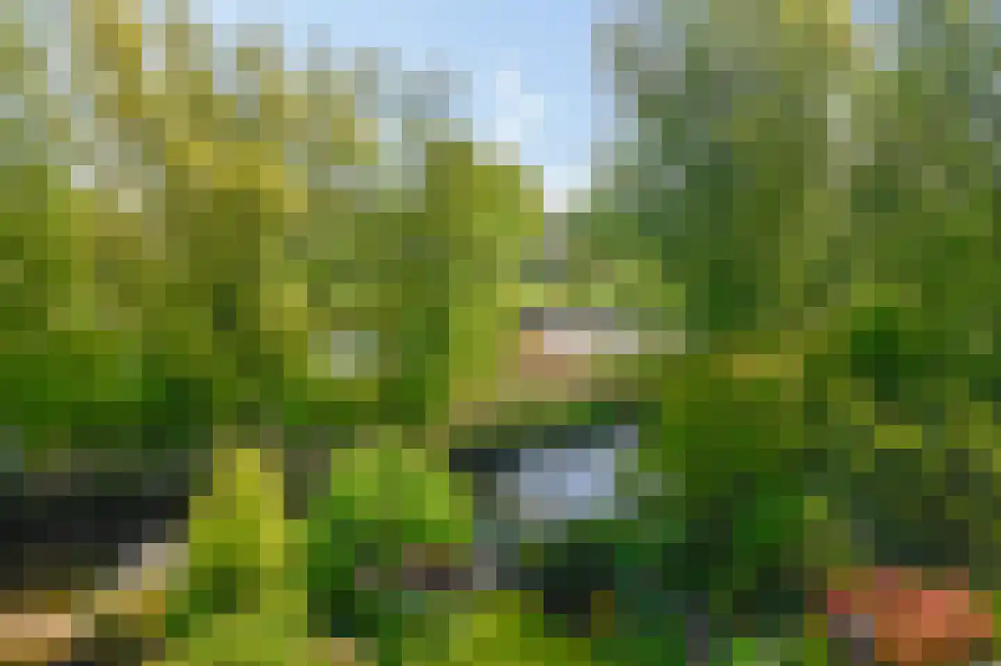 Zoutberg 21 Amsterdam thumbnail 28