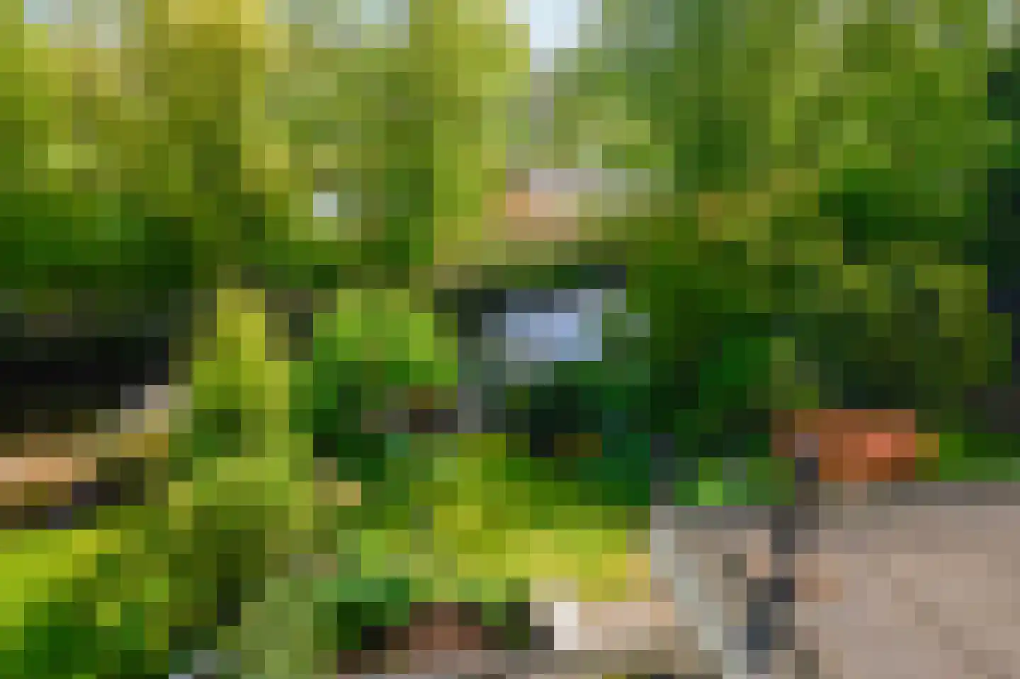 Zoutberg 21 Amsterdam thumbnail 29