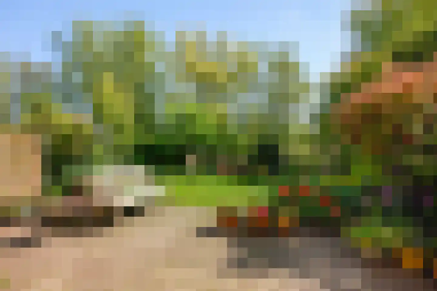 Zoutberg 21 Amsterdam thumbnail 36