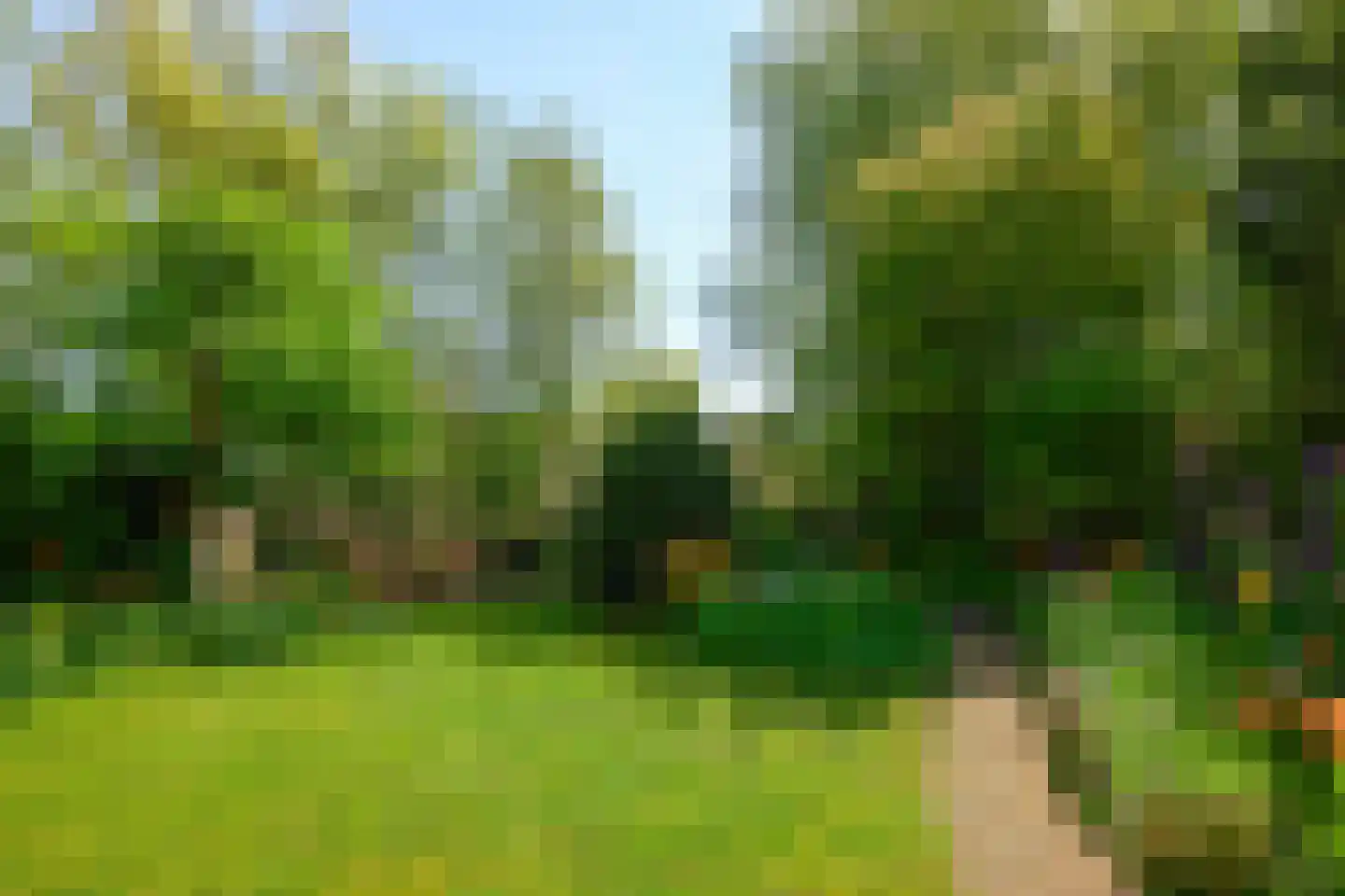 Zoutberg 21 Amsterdam thumbnail 37