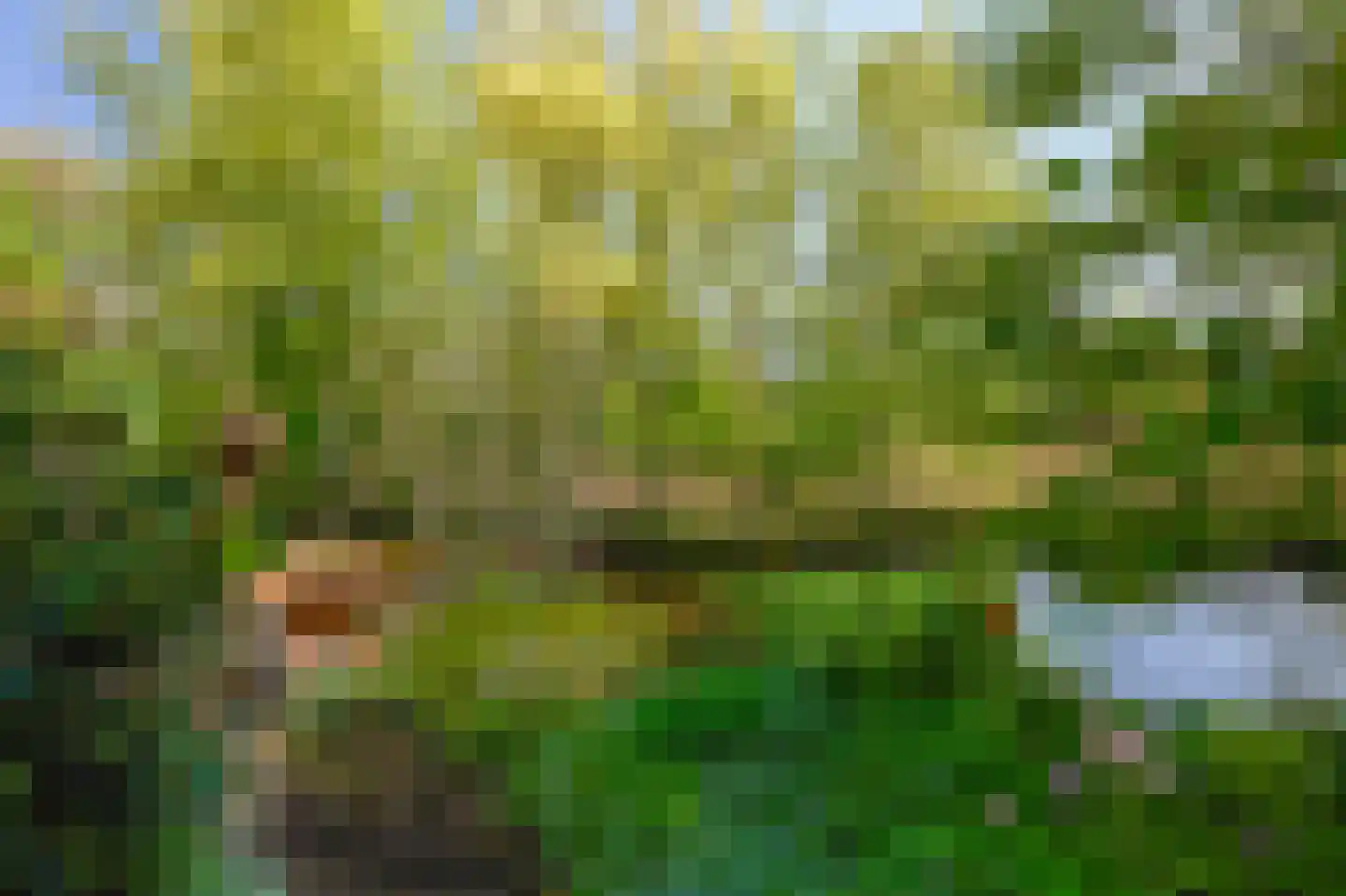 Zoutberg 21 Amsterdam thumbnail 39