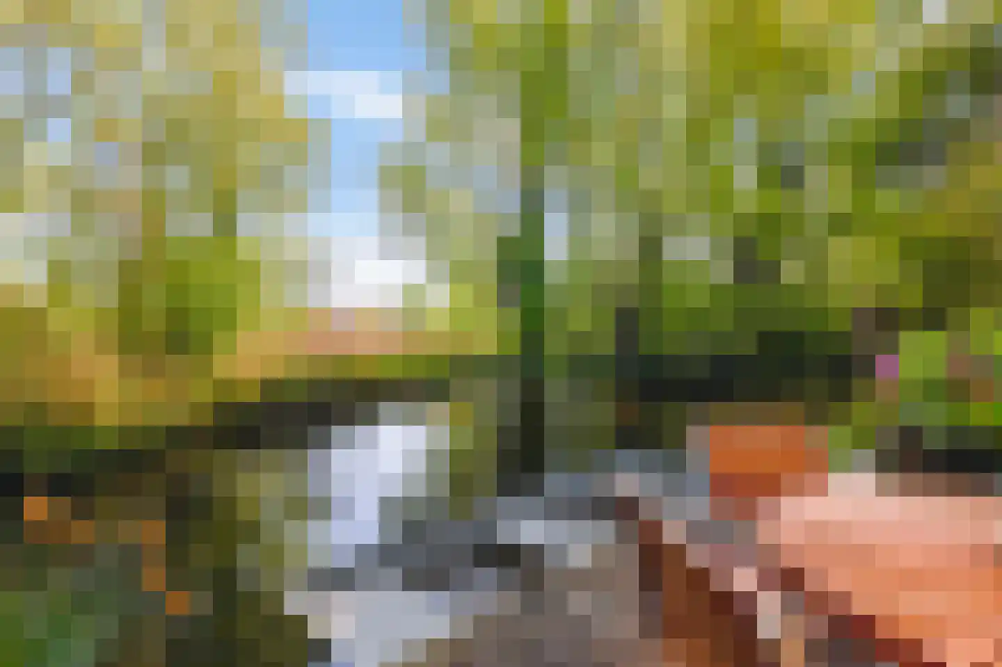 Zoutberg 21 Amsterdam thumbnail 4