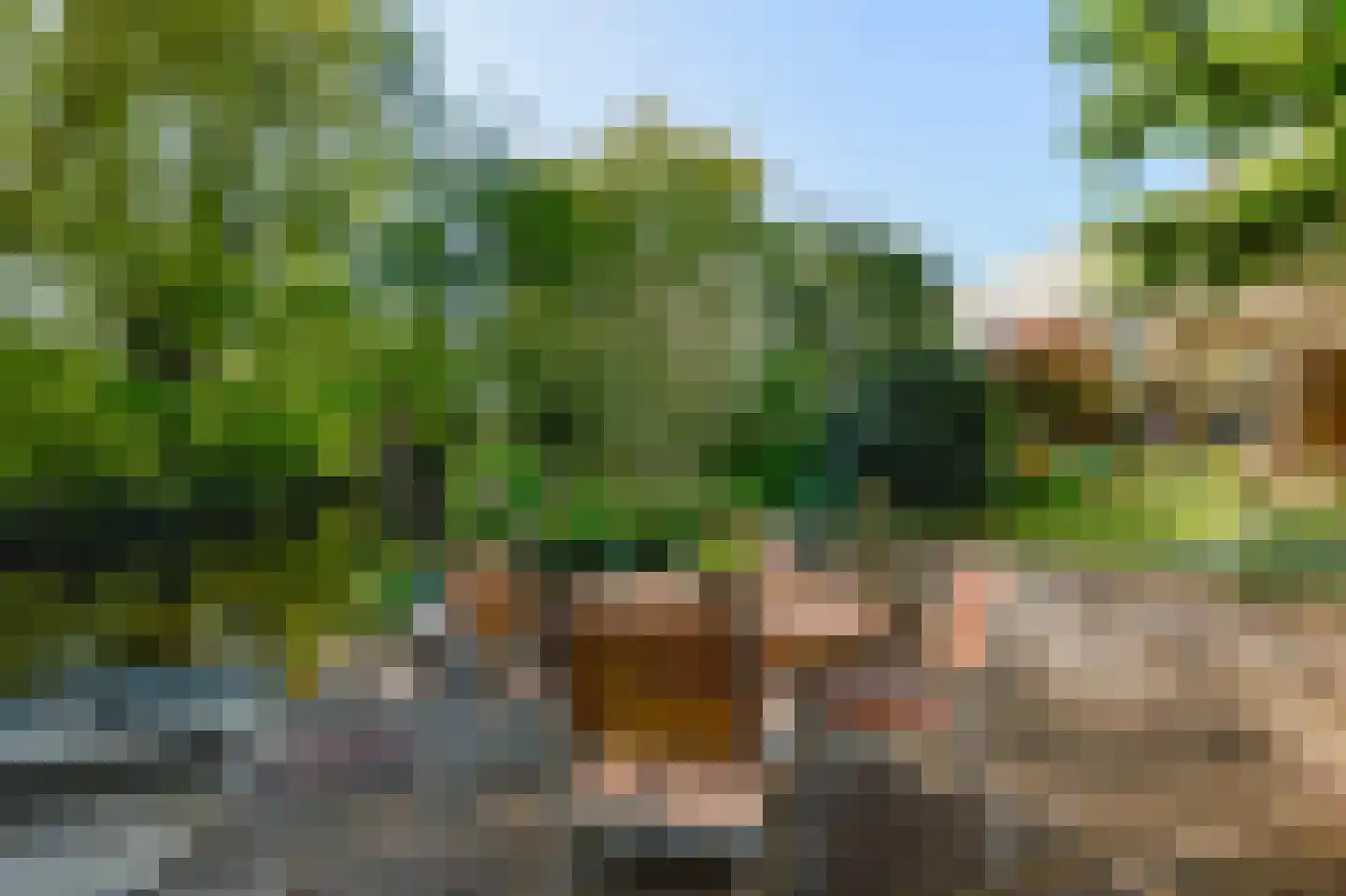 Zoutberg 21 Amsterdam thumbnail 40