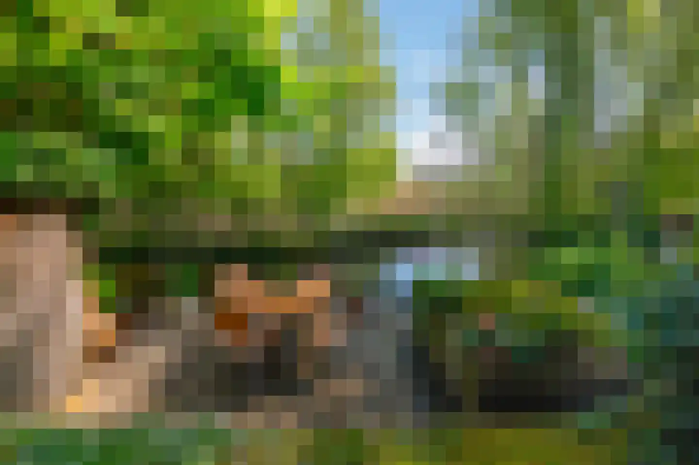 Zoutberg 21 Amsterdam thumbnail 42