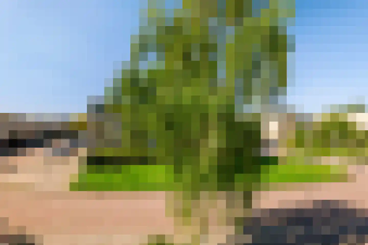 Zoutberg 21 Amsterdam thumbnail 43