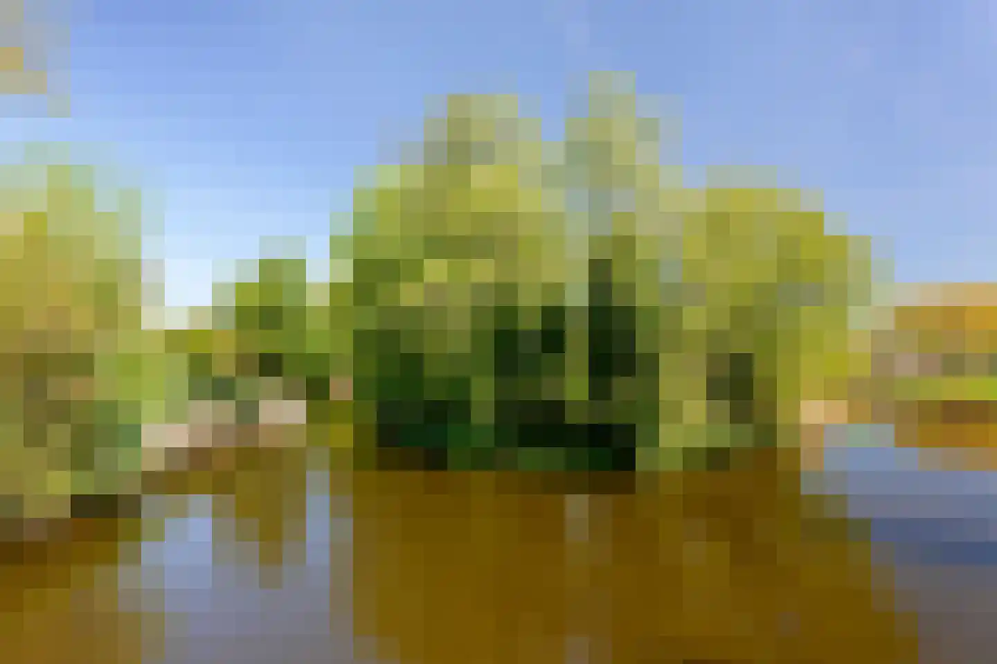 Zoutberg 21 Amsterdam thumbnail 44