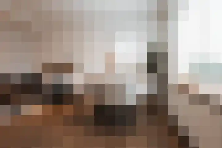 Zoutedijk 14 Kloosterzande thumbnail 11