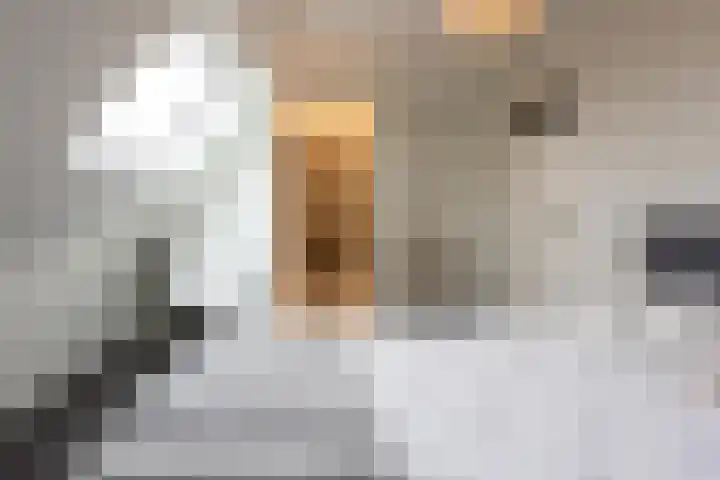 Zoutedijk 14 Kloosterzande thumbnail 19