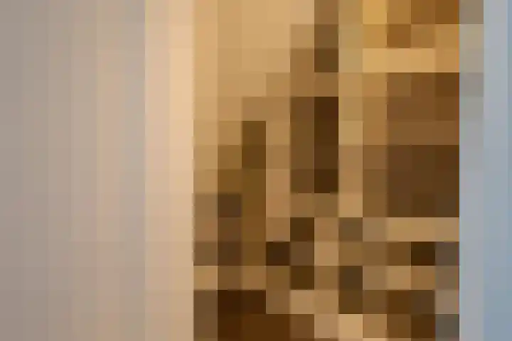 Zoutedijk 14 Kloosterzande thumbnail 20