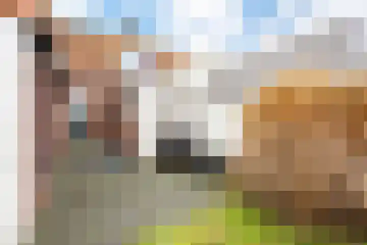 Zoutedijk 14 Kloosterzande thumbnail 30