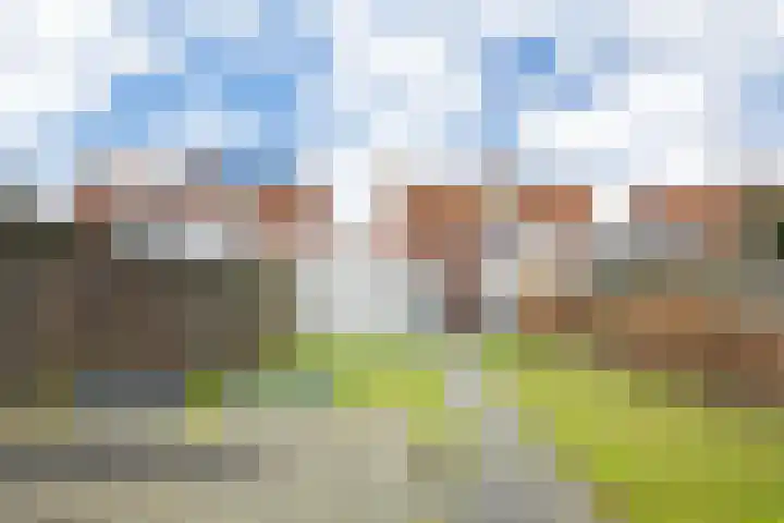 Zoutedijk 14 Kloosterzande thumbnail 31