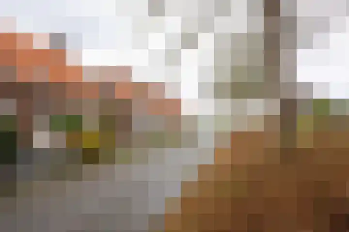 Zoutedijk 14 Kloosterzande thumbnail 33