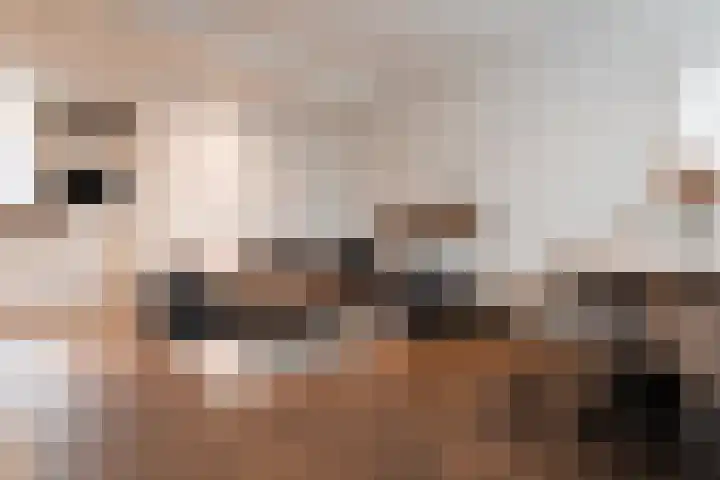 Zoutedijk 14 Kloosterzande thumbnail 6